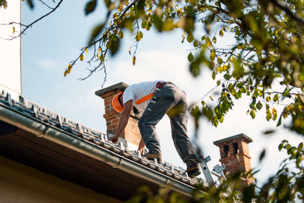 Best Roof Waterproofing Services  in Dubuque, IA