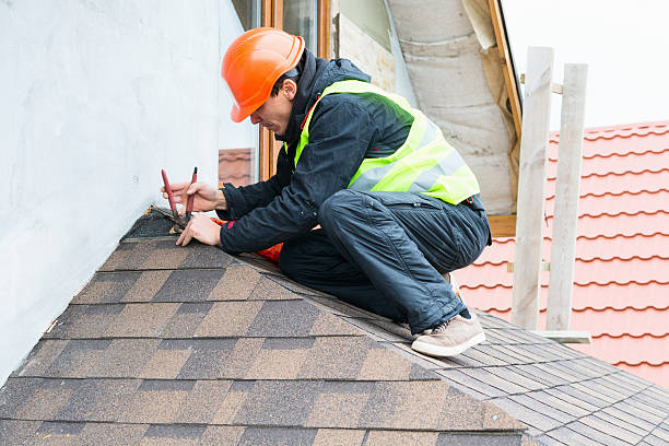Best Roof Gutter Cleaning  in Dubuque, IA